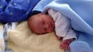 Aurel_28