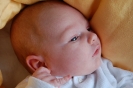 Aurel_40