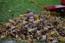November 14_13